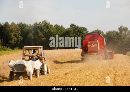 Mähdrescher - Polen Stockfoto