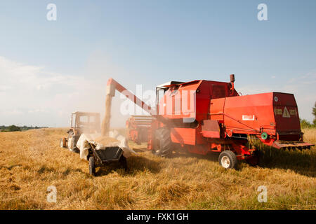 Mähdrescher - Polen Stockfoto