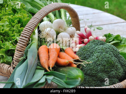 frisches Gemüse in einem Korb auf einem weißen Gartentisch Stockfoto