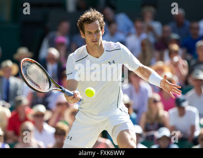 Andy Murray, Großbritannien, 2015 in Wimbledon, London, England Stockfoto
