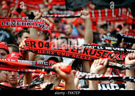 Deutschen Fußball-Bundesliga, Bayer Leverkusen Fans mit Schals, Banner, Leverkusen, Nordrhein-Westfalen, Deutschland Stockfoto