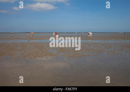 Wanderer im Wattenmeer, Ebbe in Lower Saxon Nationalpark Wattenmeer, Nordsee, Niedersachsen, Deutschland Stockfoto