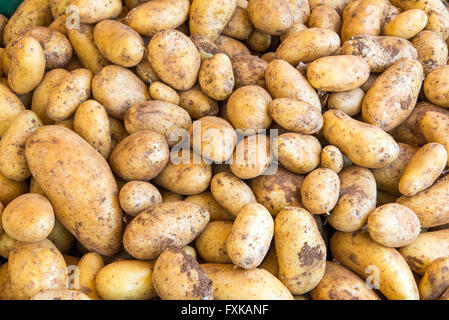 Frische Kartoffeln zum Verkauf auf dem Markt Stockfoto