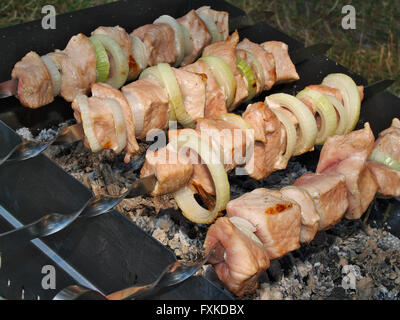 Stücke von Schweinefleisch vorbereitet als Schaschlik auf Feuer draußen im Garten Stockfoto