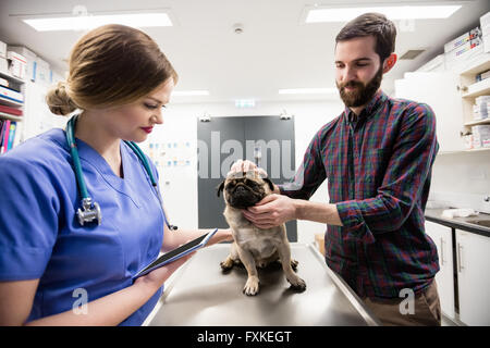 Tierarzt untersuchen Hund mit seinem Besitzer Stockfoto