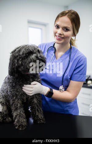 Porträt von Tierarzt Untersuchung Hund Stockfoto