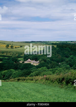 Rekonstruierte Rundhäuser im Castell Henllys verteidigte Siedlung, Pembrokeshire, während der späten Bronzezeit & Eisenzeit C 1000BC-AD60 besetzt. Stockfoto