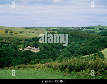 Rekonstruierte Rundhäuser im Castell Henllys verteidigte Siedlung, Pembrokeshire, während der späten Bronzezeit & Eisenzeit C 1000BC-AD60 besetzt. Stockfoto