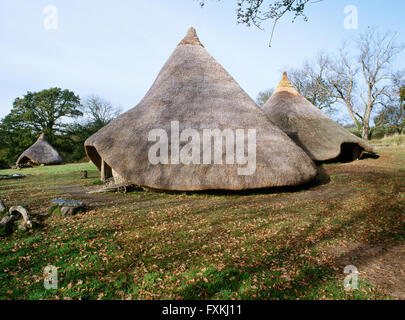 Rekonstruierte Rundhäuser 1 & 2, & eine Himmelbett-Struktur (hinten L) bei Castell Henllys verteidigt Siedlung, Pembrokeshire, im Gebrauch C 1000BC-AD60 Stockfoto