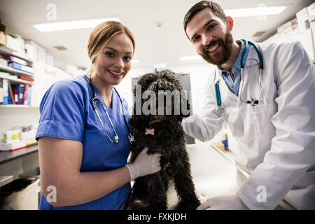 Porträt des Lächelns Tierärzte mit Hund Stockfoto