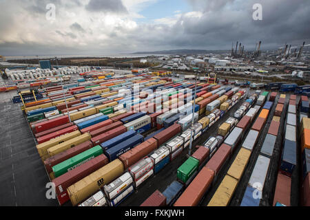 Große Anzahl von Containern in Forth Port Grangemouth Stockfoto