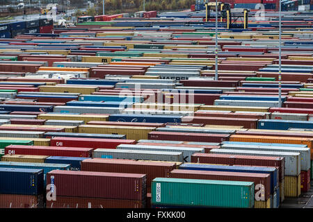 Große Anzahl von Containern in Forth Port Grangemouth Stockfoto