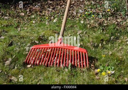 Roten Rechen unter trockenen Blättern am grünen Rasen und gelben Blüten im Frühling im Garten Stockfoto