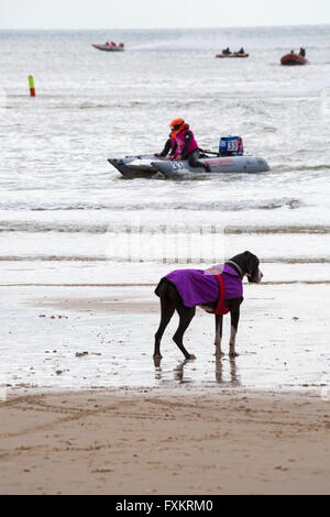 Boscombe, Bournemouth, Dorset, UK 16. April 2016. Aktion kehrt in Boscombe mit den Zapcats und die ersten Runden der RYA Thundercats nationalen Meisterschaften von ThunderCat Racing UK in Boscombe Beach, Dorset, UK Credit: Carolyn Jenkins/Alamy Live News Stockfoto