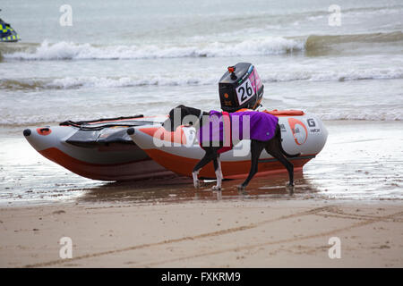 Boscombe, Bournemouth, Dorset, UK 16. April 2016. Aktion kehrt in Boscombe mit den Zapcats und die ersten Runden der RYA Thundercats nationalen Meisterschaften von ThunderCat Racing UK in Boscombe Beach, Dorset, UK Credit: Carolyn Jenkins/Alamy Live News Stockfoto