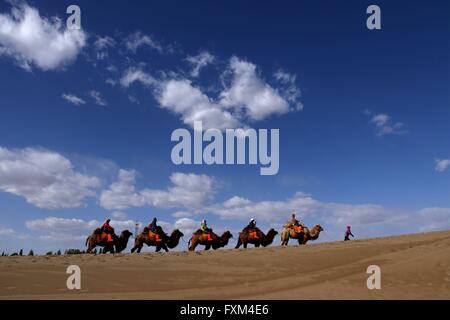 Jiuquan, Chinas Provinz Gansu. 16. April 2016. Menschen fahren Kamele an der Mondsichelsee Landschaft vor Ort in berühmte Berg von Dunhuang Stadt, Nordwesten Chinas Provinz Gansu, 16. April 2016. Dunhuang-Stadt zeigte seine natürliche Schönheit nach einem Regen am Samstag. Bildnachweis: Zhang Xiaoliang/Xinhua/Alamy Live-Nachrichten Stockfoto