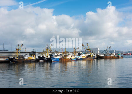 Kommerziellen Fischerboote festgemacht an den Docks in Brixham Devon UK Stockfoto