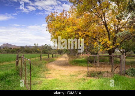 Foto von Herbstlaub in einen Feldweg mit offenen Tor überhängenden Bäumen Stockfoto