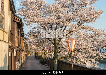 Kazue-Machi Chaya District, Kanazawa, Japan Stockfoto