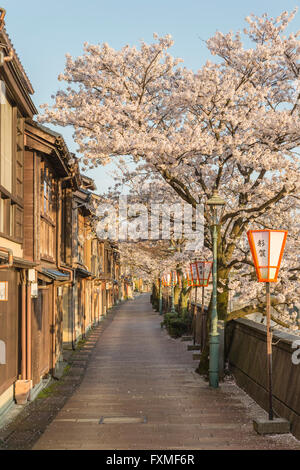 Kazue-Machi Chaya District, Kanazawa, Japan Stockfoto