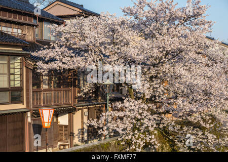 Kazue-Machi Chaya District, Kanazawa, Japan Stockfoto