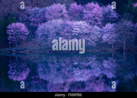 Lake Nakatsuna, Omachi, Japan Stockfoto