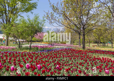 Alpen Azumino Regierung Nationalpark, Azumino, Japan Stockfoto