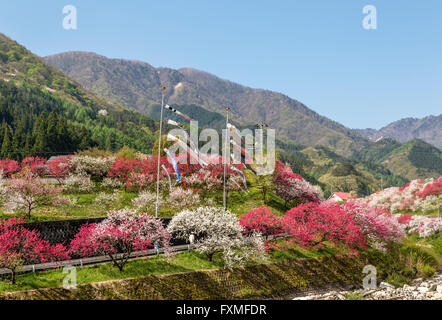 Moon River Hot Springs, Nagano, Japan Stockfoto