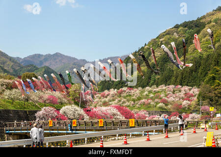 Moon River Hot Springs, Nagano, Japan Stockfoto