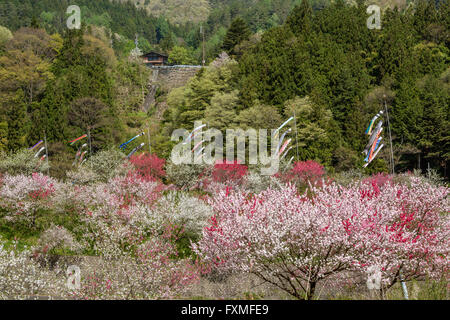 Moon River Hot Springs, Nagano, Japan Stockfoto