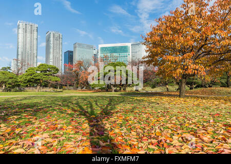 Hama-Rikyu Garten, Tokyo, Japan Stockfoto