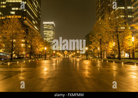 Tokyo Station in der Nacht, Tokyo, Japan Stockfoto