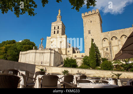 Notre-Dame de Don Cathedral, Avignon, Frankreich Stockfoto