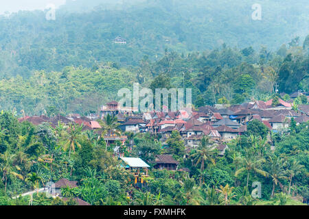 Terrassenförmig angelegten Reis Felder, Jatiluwih, Bali, Indonesien Stockfoto