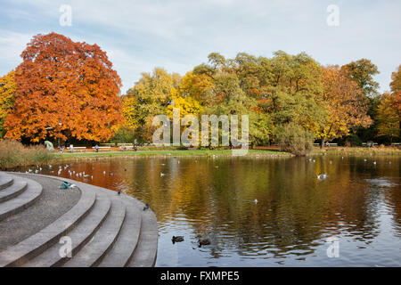 Ujazdowski-Park im Herbst, Warschau, Polen, Treppe zum Wasser Stockfoto