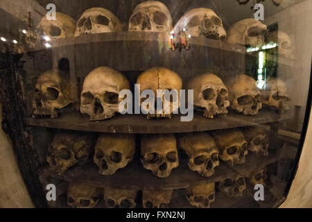 Schädel in der Krypta der Chiesa Santa Maria dell'Orazione e Morte, Rom, Italien Stockfoto