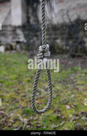 Galgen auf einem Baum im Garten in der Nähe der alten Stadtmauer Stockfoto