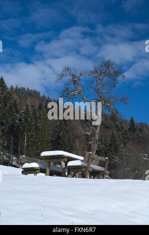 Pic-Nic-Bank und Tisch platziert, in der Nähe eines Baumes, unter dem Schnee während des Winters in den italienischen Alpen Stockfoto