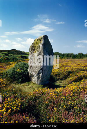 Rhos y Clegyrn Menhir, Pembrokeshire, aussehende SW: 2,7 m hoch mit einem abgeflachten runden Cairn sofort auf seine S in Ginster & Heidekraut Moorland. Stockfoto