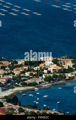 Thau-Teich, Pointe du Barou, Sete, Herault, Frankreich Stockfoto