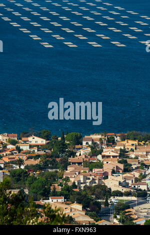 Thau-Teich, Pointe du Barou, Sete, Herault, Frankreich Stockfoto