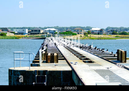 Goolwa Barrage, frisches Wasser in Lake Alexandrina von Salzwasser Kanal Goolwa, Südaustralien, SA trennen Stockfoto