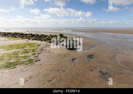 Strand, Lower Saxon Nationalpark Wattenmeer, Wangerooge, Osten friesische Insel, Ostfriesland, Niedersachsen, Deutschland Stockfoto