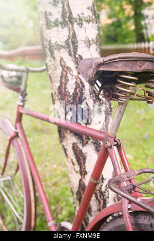 Ländliche Szene mit einem alten retro Bike durch lehnte sich gegen eine Birke, Schweden Stockfoto