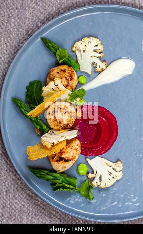 Jakobsmuscheln mit rote Beete und Blumenkohl-Püree, Spargel und Parmesan frisch Stockfoto