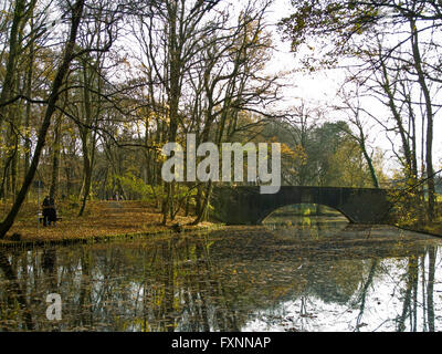 BRD, Deutschland, NRW, Köln, Lindenthal, Wildkaninchen Grüngürtels Stockfoto