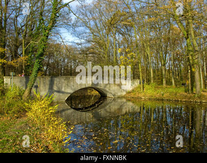 BRD, Deutschland, NRW, Köln, Lindenthal, Wildkaninchen Grüngürtels Stockfoto