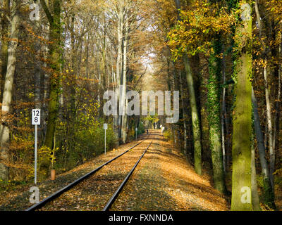 BRD, Deutschland, NRW, Köln, Lindenthal, Innerer Grüngürtel, Bahnübergang Stockfoto