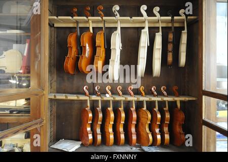 Mailand (Italien) Civic School of Violin Making, Bauphasen einer Violine Stockfoto