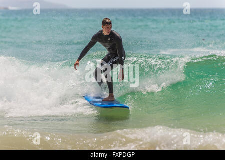 Mann reitet auf seinem Surfbrett in Richtung Ufer. Sieben Meilen vom Zentrum von Sydney, berühmten Manly beach Stockfoto